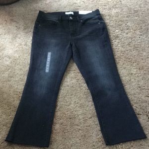Loft Demi boot jeans